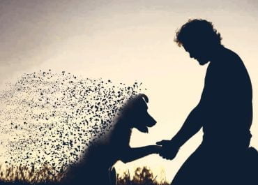 ¿Cómo afrontar la muerte de mi mascota?
