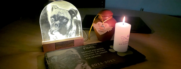 Valor Crematorio de Mascotas