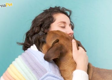 Cómo Cremar a mi Mascota: Una Guía para Eternizar su Recuerdo en EternaPet