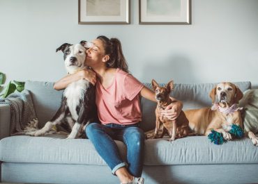 Tips para prevenir accidentes de mascotas y mantener su seguridad