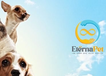 Funeraria de Mascotas en Chile: Cuidando el Legado de Nuestros Compañeros Peludos