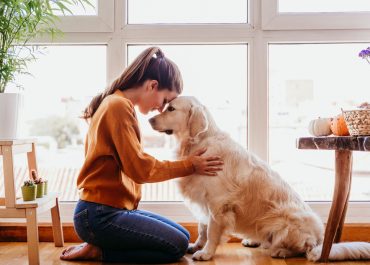 Descubre cómo los perros están transformando la vida de las personas de una manera única