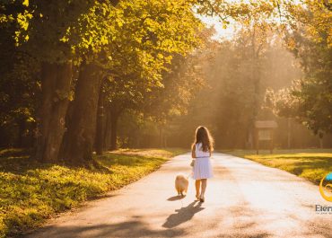 ¿Cuál es la Esperanza de Vida de tu Perro? Descubrelo ahora.