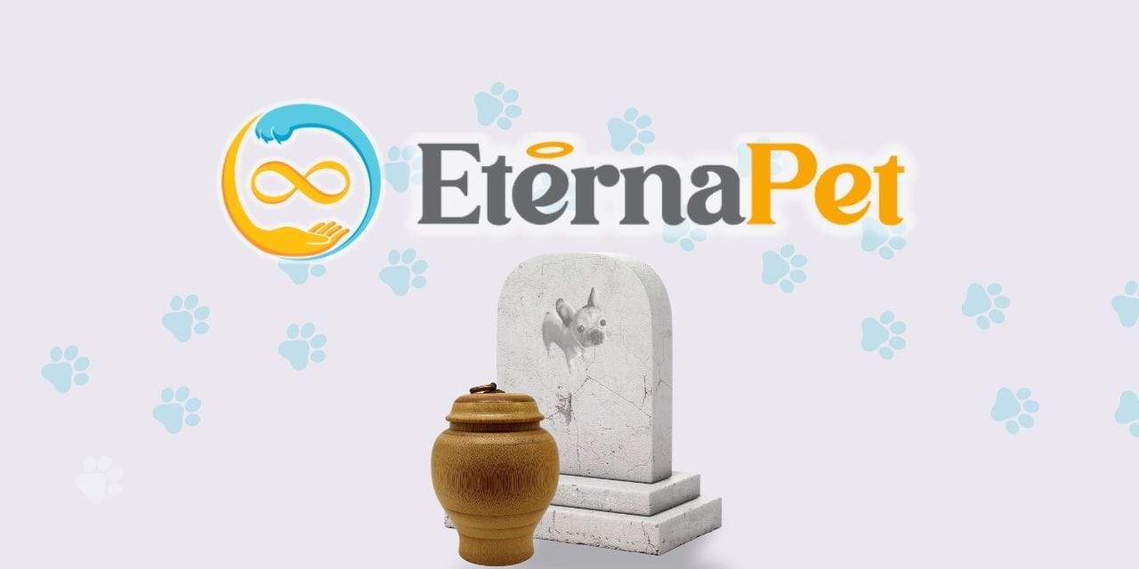 Cremación vs. entierro: ¿Cuál es la mejor opción para mi mascota?