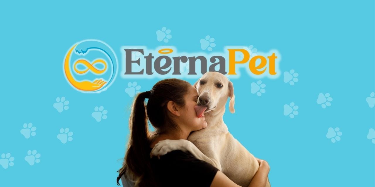 ¿Cómo afrontar la culpa tras la pérdida de una mascota?