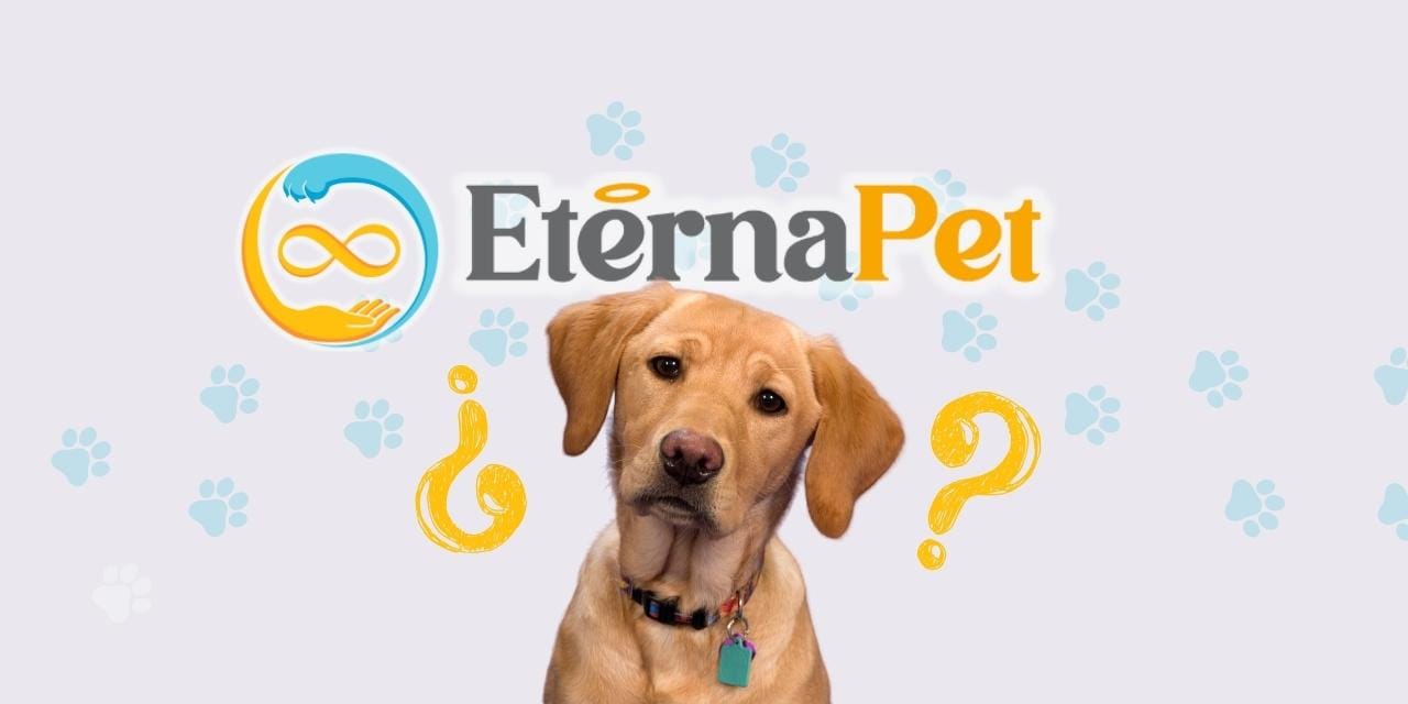Preguntas Frecuentes sobre la Cremación de Mascotas