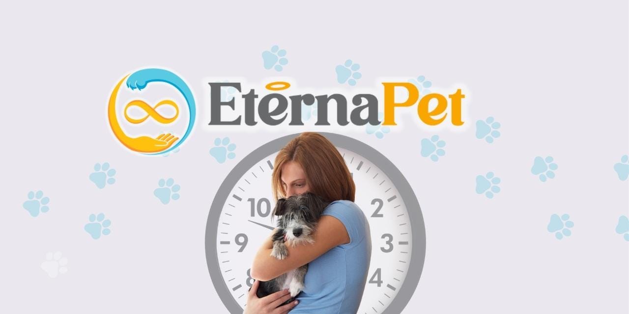 ¿Cuánto tiempo dura el duelo por una mascota?