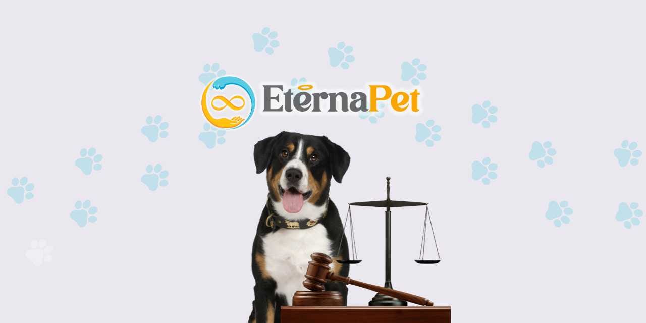 Cremación de mascotas en Chile: Aspectos legales y normativas