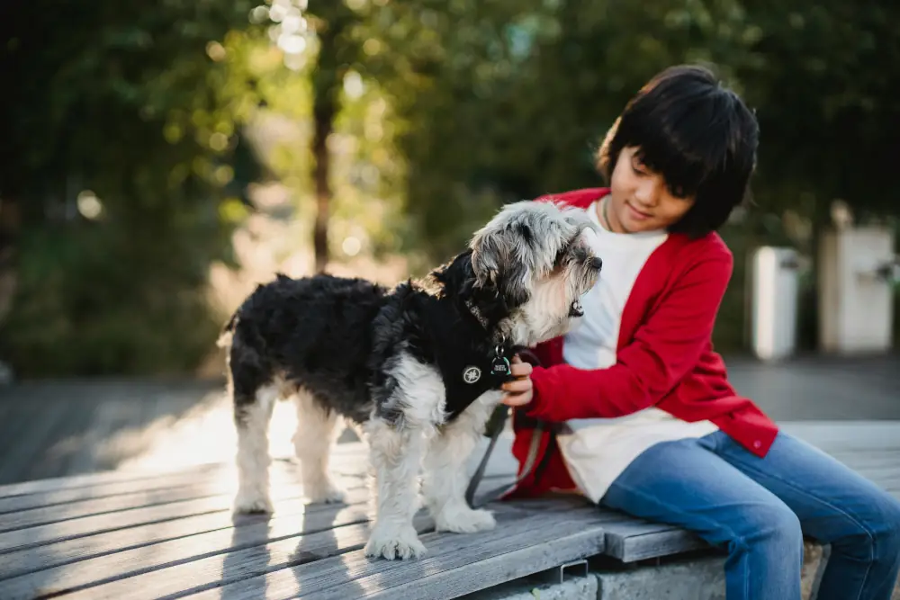 Como elegir una nueva mascota para tu familia.