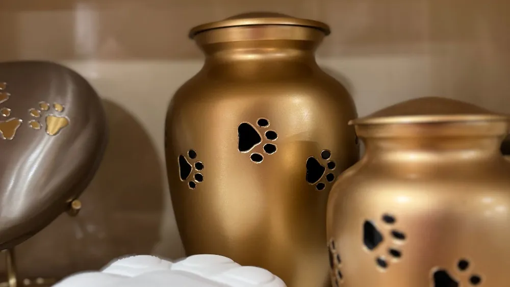 Ánforas doradas metálicas con imágenes de patitas.