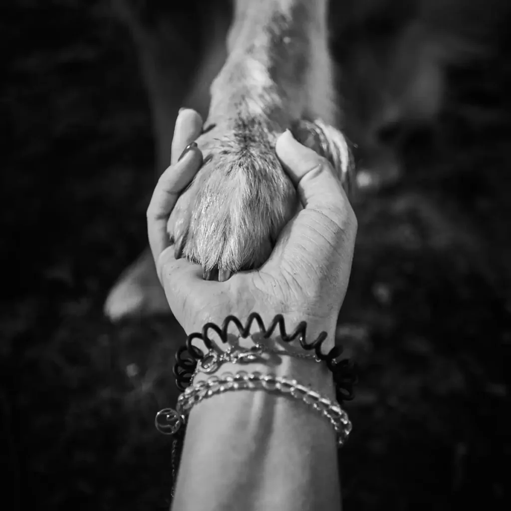 Mujer tomando la pata de su mascota de soporte emocional