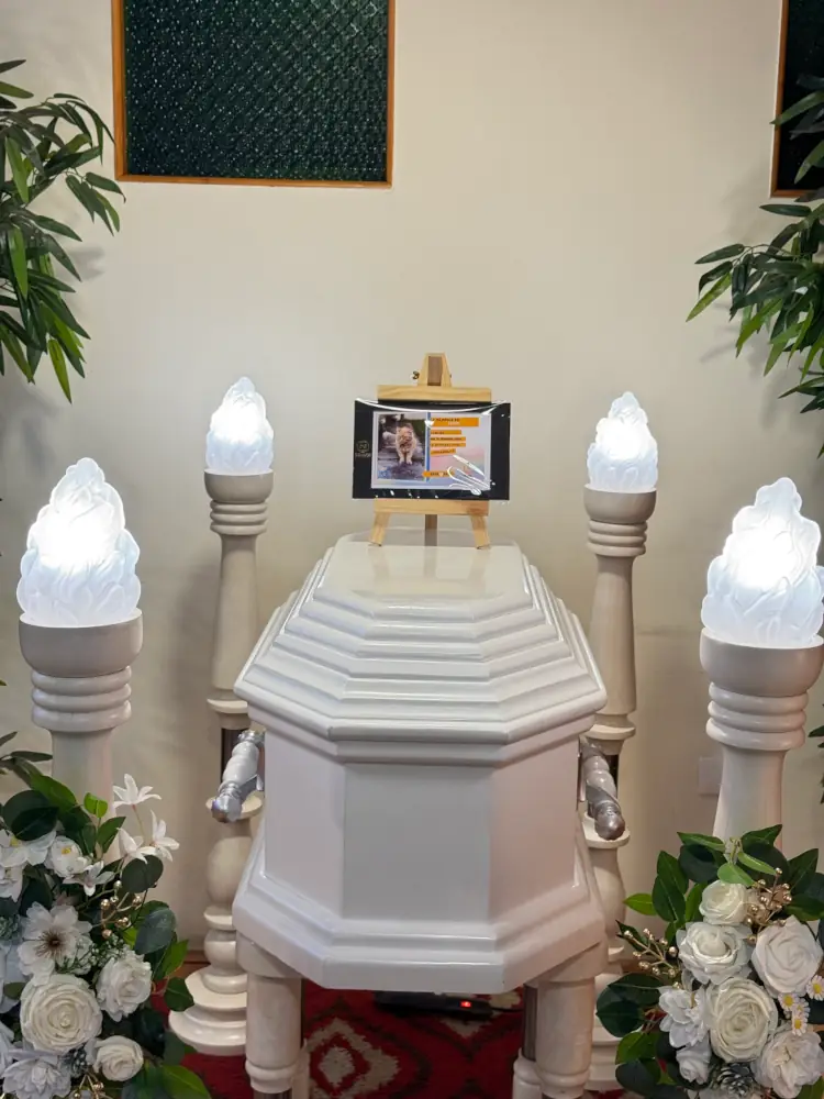 Sala de despedida de mascotas EternaPet en Peñalolén"