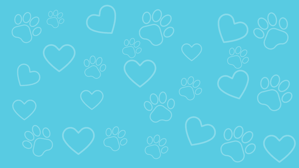 background corazones y patitas mascotas