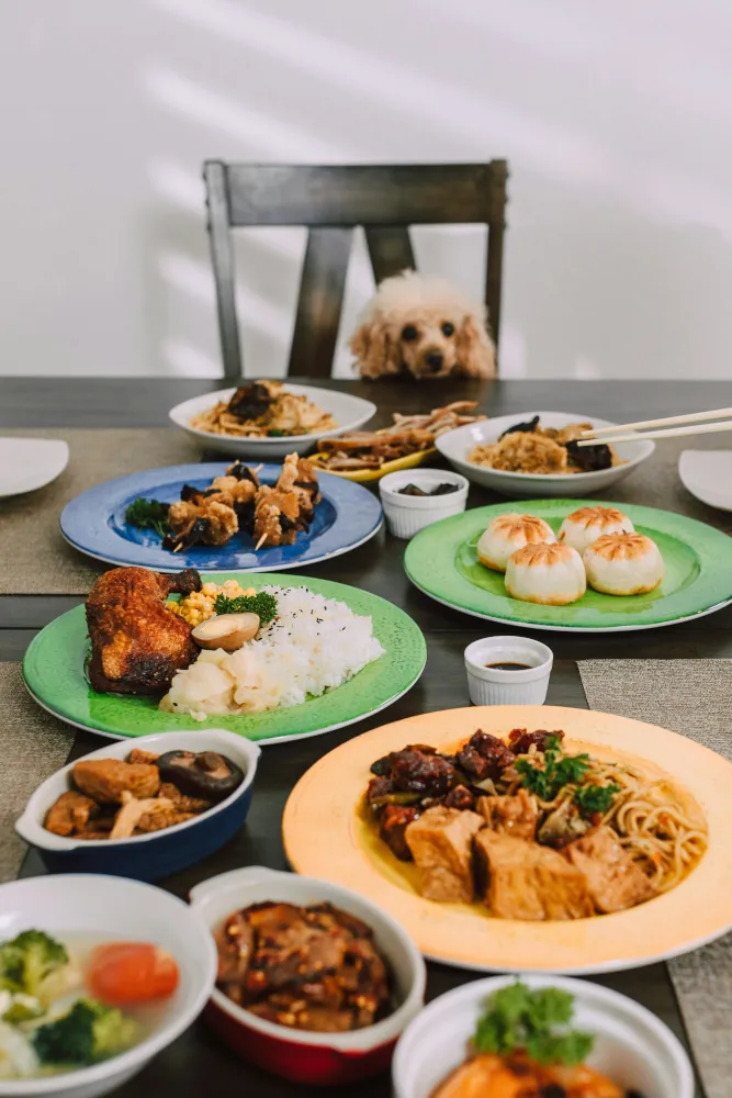 comida de mascotas durante fiestas