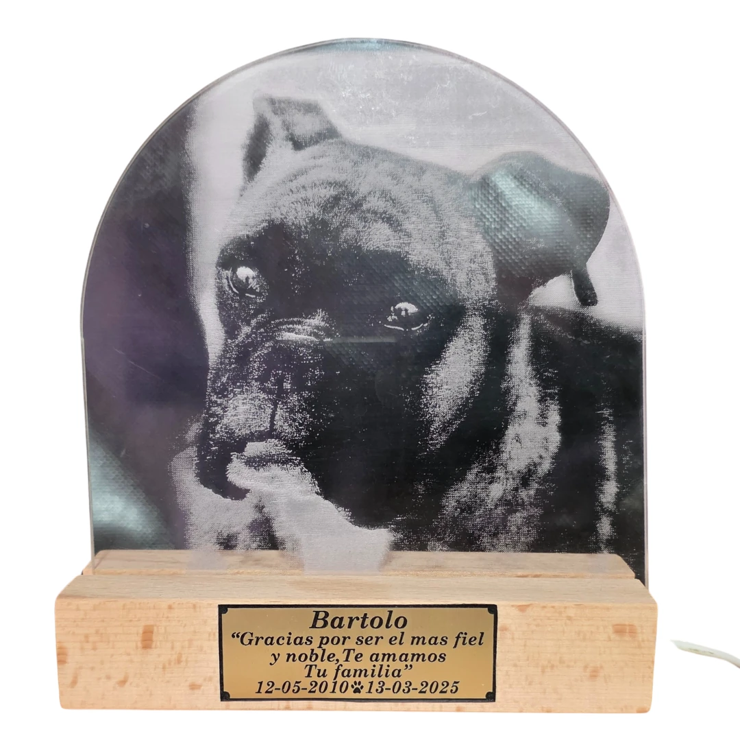 Lámpara LED personalizada con imagen de tu mascota