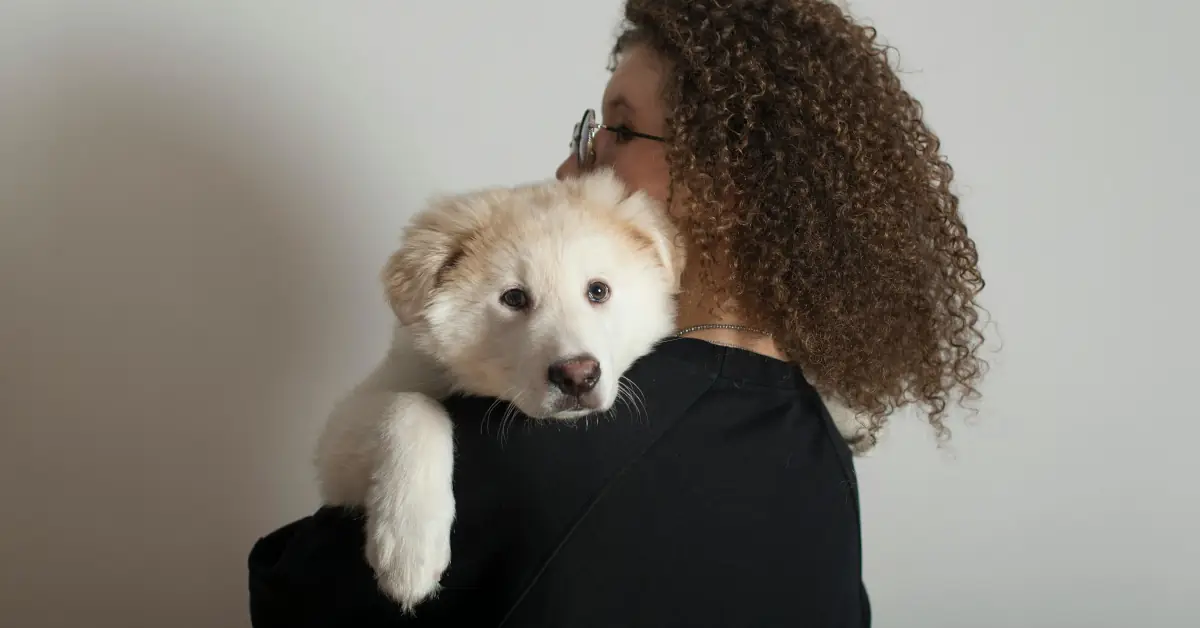 La Ley Duque y el Derecho a Despedir a tu Mascota: Un Camino hacia el Duelo Consciente