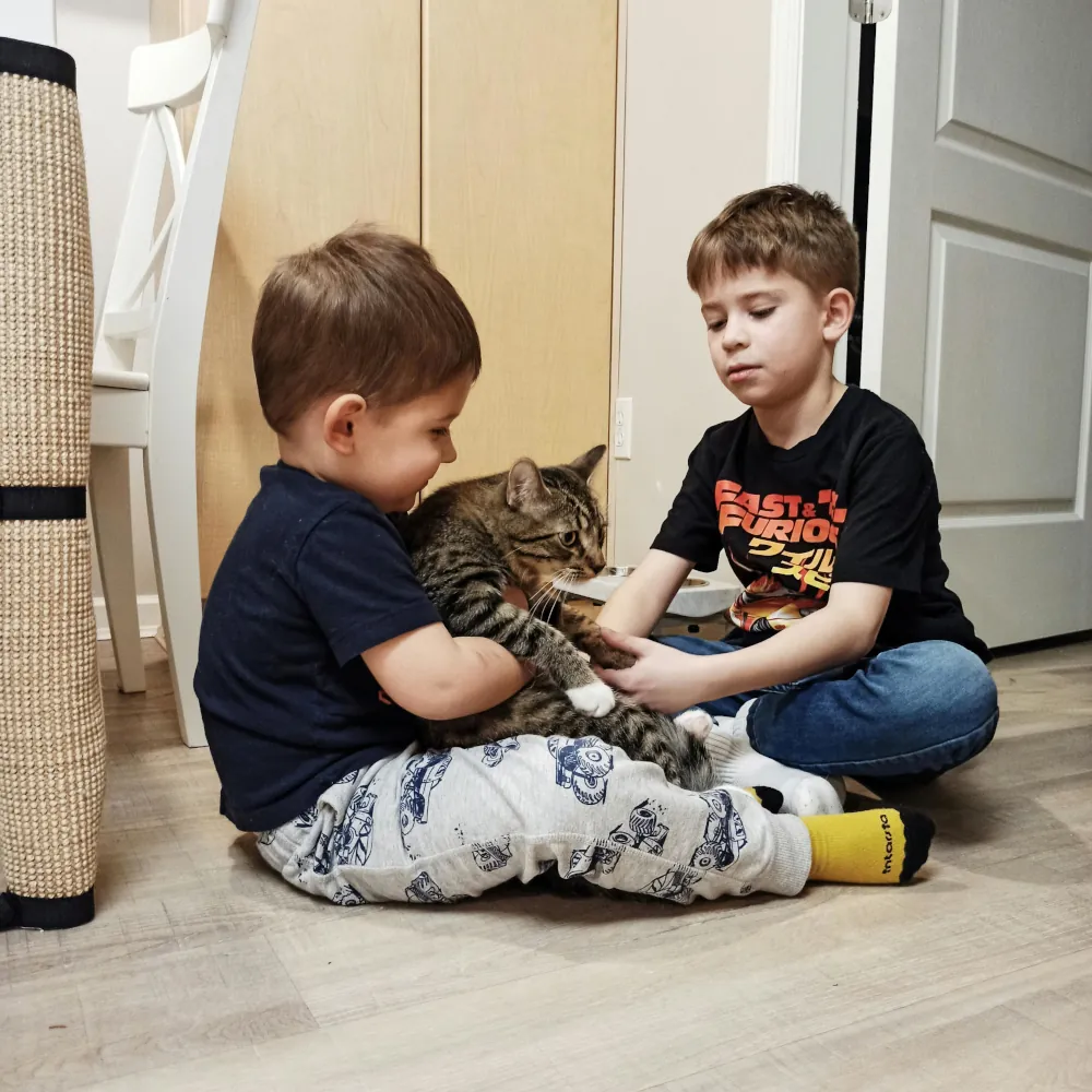 Niños jugando con su gato.