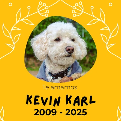 Homenaje a Kevin Karl - Crematorio de  Mascotas EternaPet