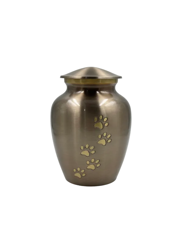 Ánfora Bronce EternaPet