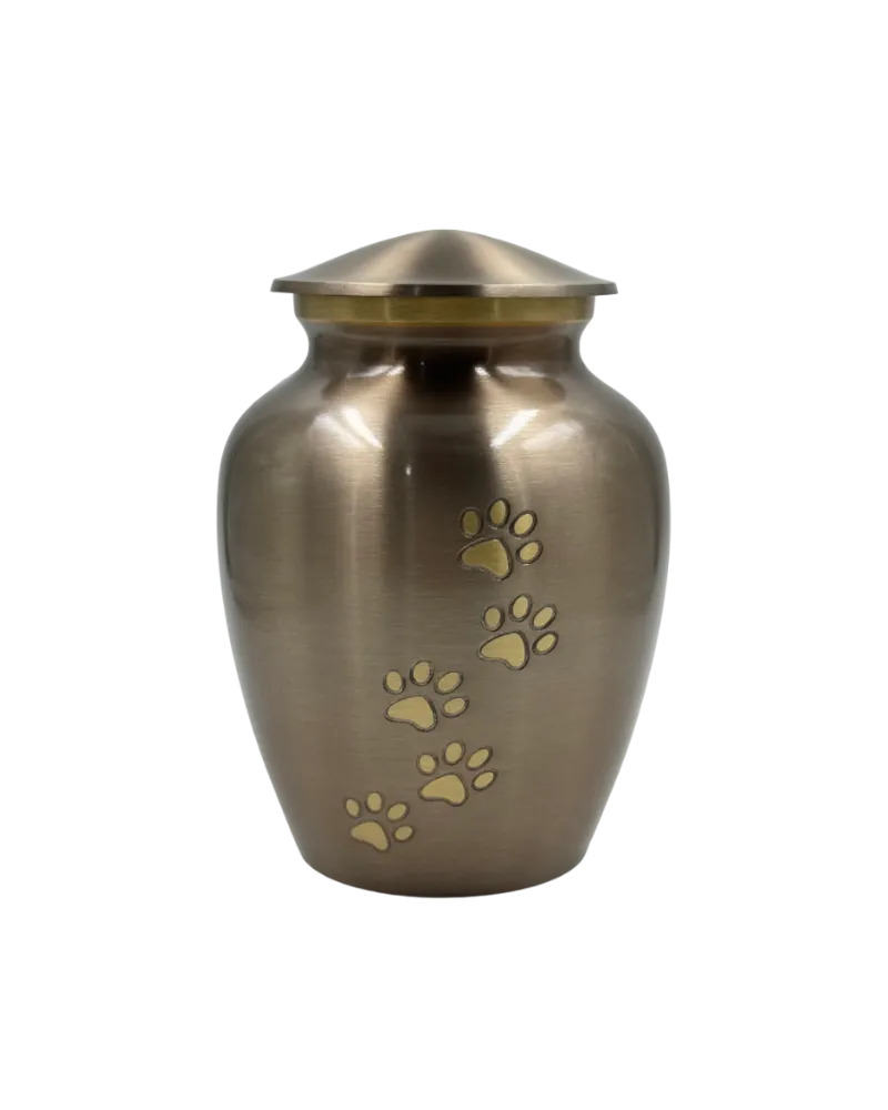 Ánfora bronce EternaPet