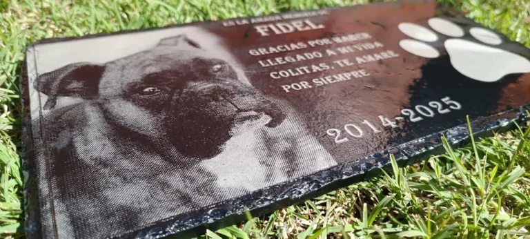 Descubre cómo Funciona la Cremación de Mascotas