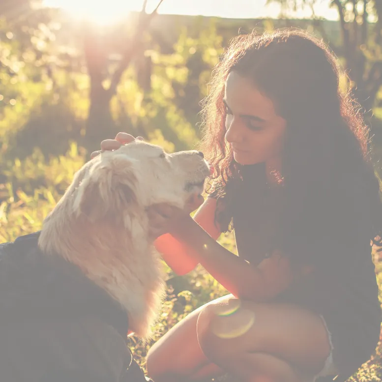 Cremación Individual