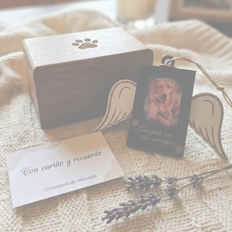 Eutanasia y Cremación